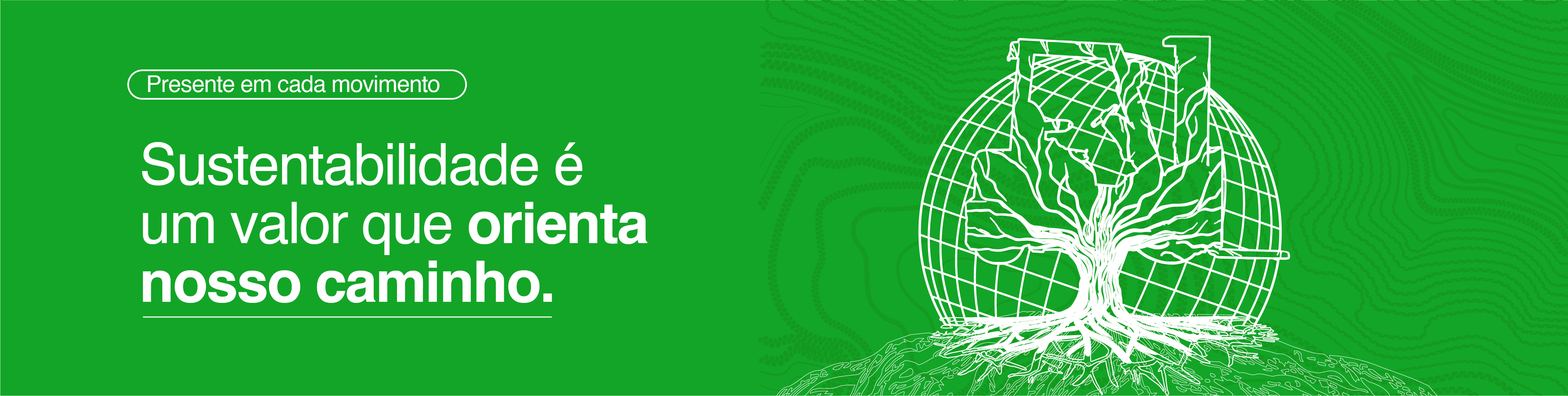 Sustentabilidade Heli Brasil